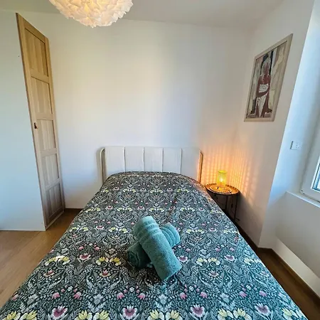 Le Freyja , T2 Cosy Et Moderne Illzach