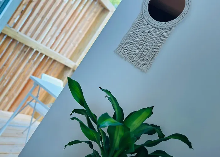 Le Freyja , T2 Cosy Et Moderne *